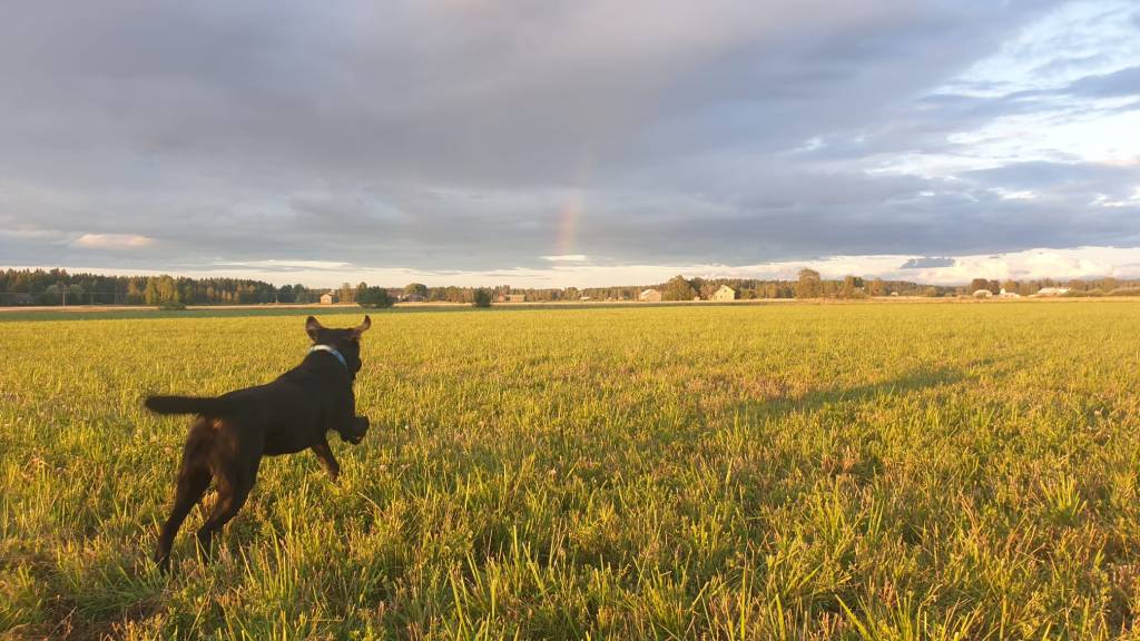 Tutkimus tekee pieneksi ja&nbsp;suureksi