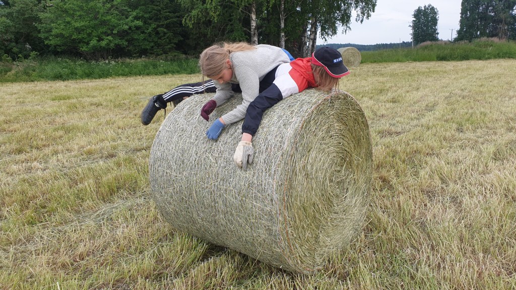 Elämän mikrohetket