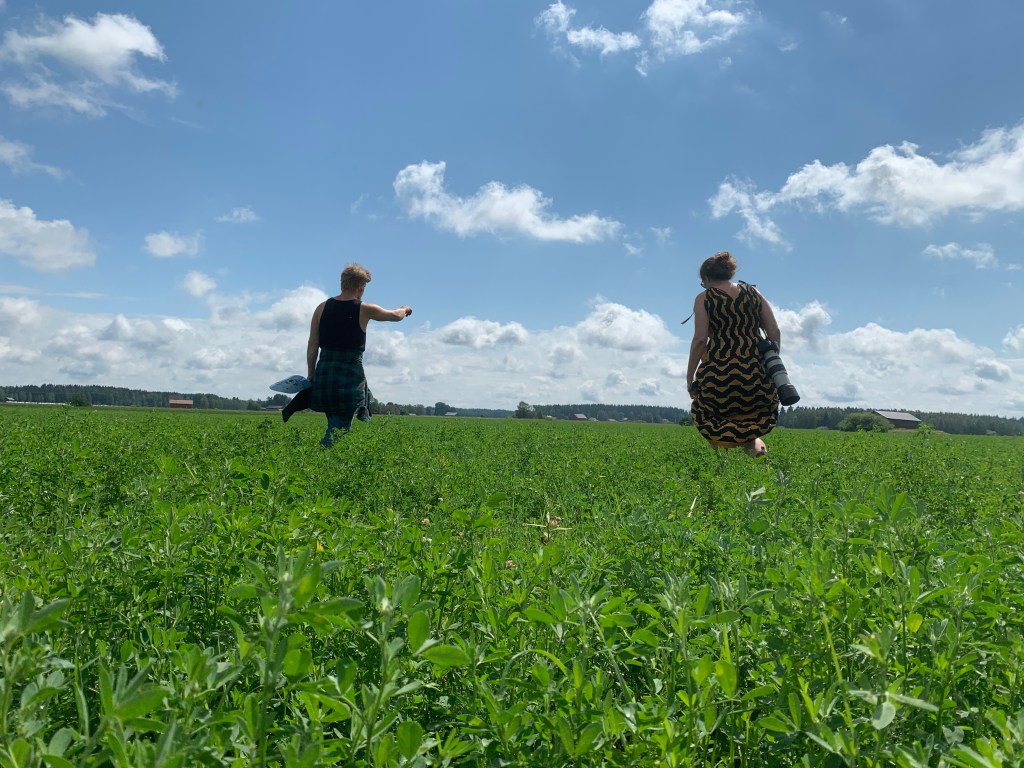 Intuition elementit päätöksenteossa – Osa&nbsp;1