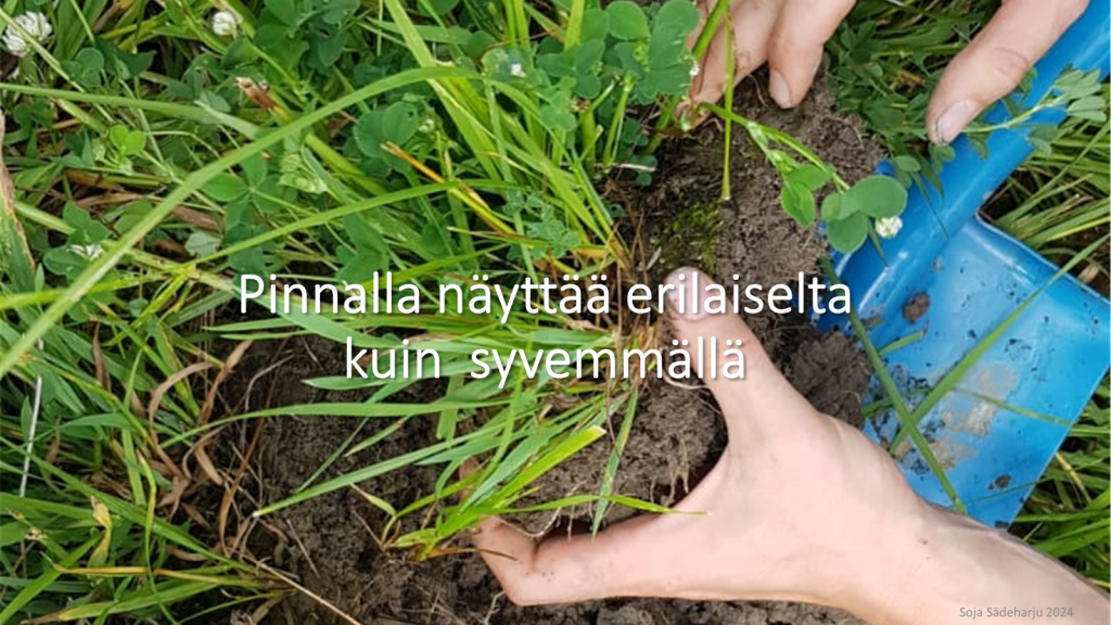 Systeemisiä ongelmia ei voi ratkaista lineaarisella&nbsp;ajattelulla