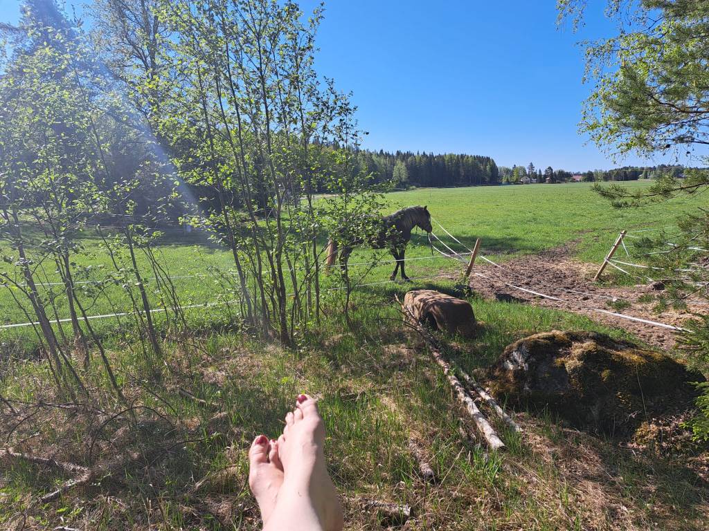 Submitted – 1. artikkeli&nbsp;lähetetty!